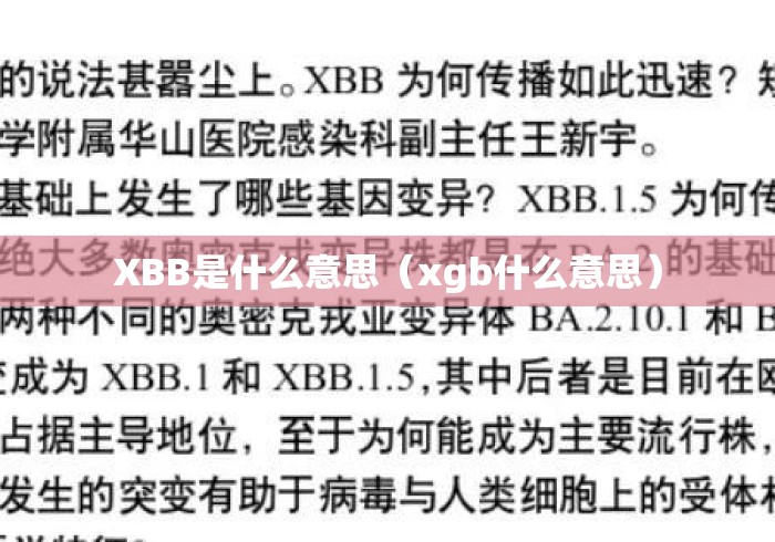 XBB是什么意思（xgb什么意思）