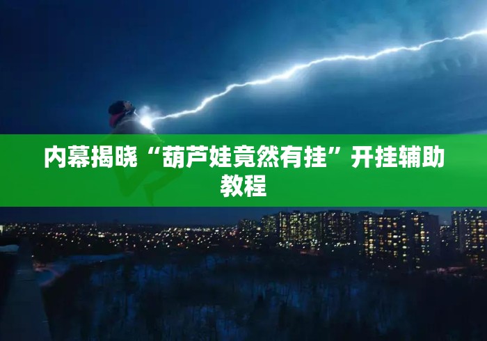 内幕揭晓“葫芦娃竟然有挂”开挂辅助教程