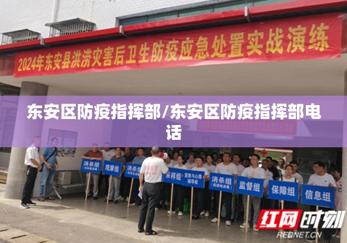 东安区防疫指挥部/东安区防疫指挥部电话