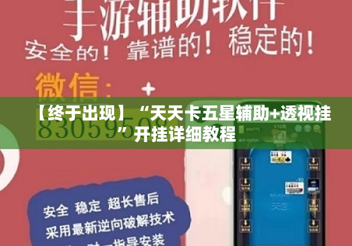 【终于出现】“天天卡五星辅助+透视挂”开挂详细教程