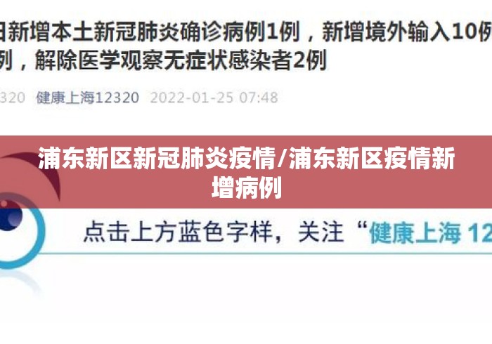 浦东新区新冠肺炎疫情/浦东新区疫情新增病例 浦东新区新冠肺炎疫情/浦东新区疫情新增病例