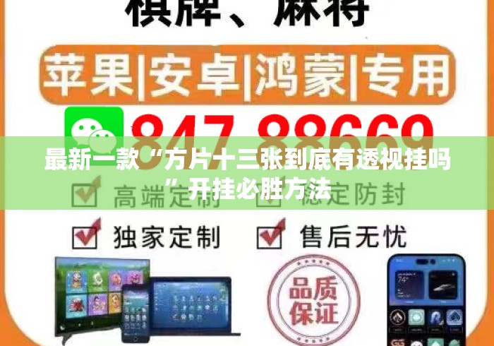 最新一款“方片十三张到底有透视挂吗”开挂必胜方法