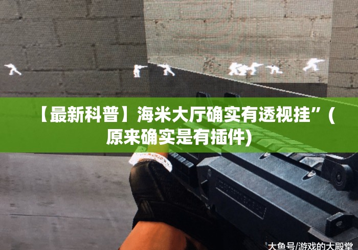 【最新科普】海米大厅确实有透视挂”(原来确实是有插件)