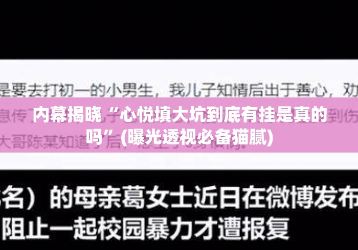 内幕揭晓“心悦填大坑到底有挂是真的吗”(曝光透视必备猫腻)