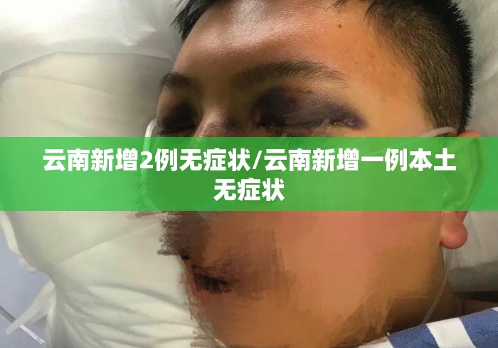 云南新增2例无症状/云南新增一例本土无症状 云南新增2例无症状/云南新增一例本土无症状