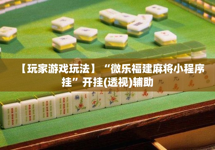 【玩家游戏玩法】“微乐福建麻将小程序挂”开挂(透视)辅助