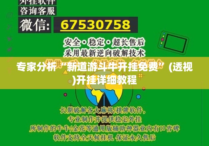 专家分析“新道游斗牛开挂免费”(透视)开挂详细教程