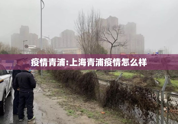 疫情青浦:上海青浦疫情怎么样 疫情青浦:上海青浦疫情怎么样