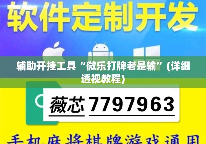 辅助开挂工具“微乐打牌老是输”(详细透视教程)