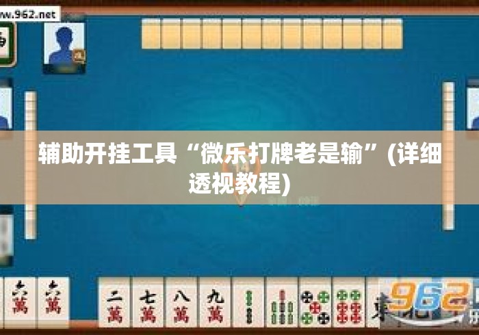 辅助开挂工具“微乐打牌老是输”(详细透视教程)