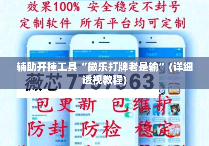 辅助开挂工具“微乐打牌老是输	”(详细透视教程)