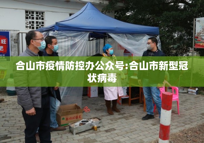 合山市疫情防控办公众号:合山市新型冠状病毒 合山市疫情防控办公众号:合山市新型冠状病毒