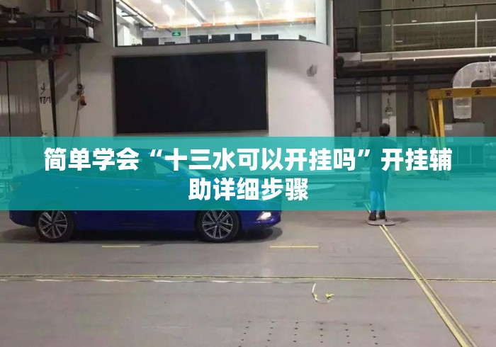 简单学会“十三水可以开挂吗”开挂辅助详细步骤