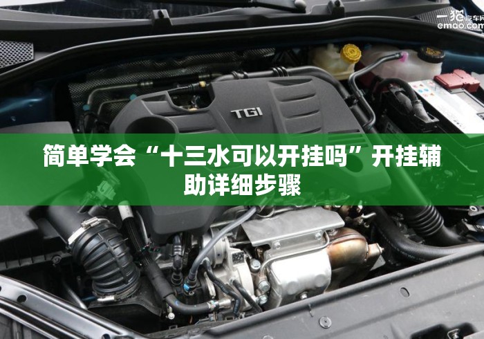 简单学会“十三水可以开挂吗”开挂辅助详细步骤