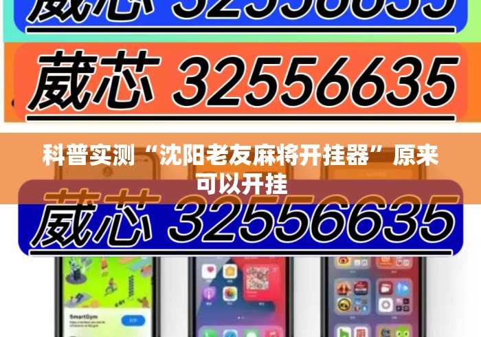 科普实测“沈阳老友麻将开挂器”原来可以开挂