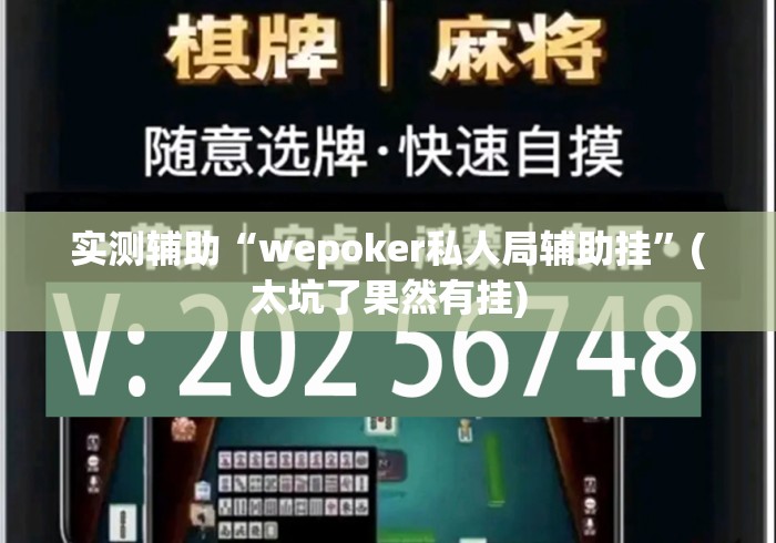 实测辅助“wepoker私人局辅助挂	”(太坑了果然有挂)