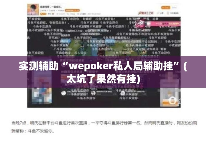 实测辅助“wepoker私人局辅助挂”(太坑了果然有挂)
