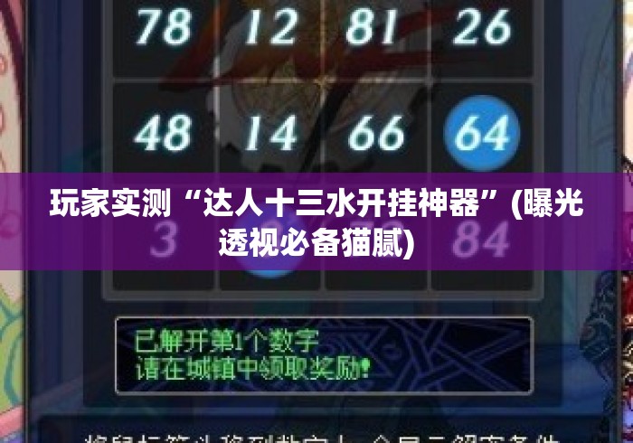 玩家实测“达人十三水开挂神器”(曝光透视必备猫腻)