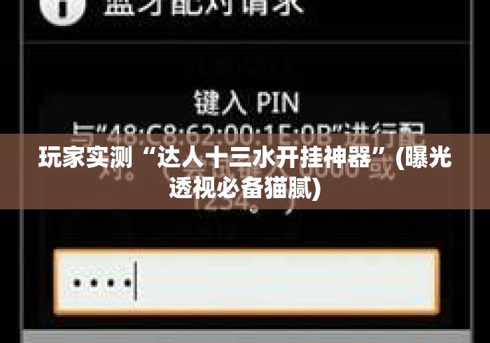 玩家实测“达人十三水开挂神器	”(曝光透视必备猫腻)