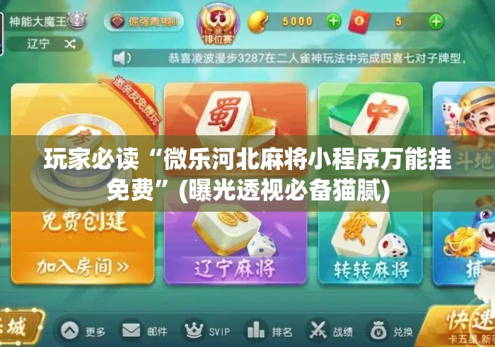 玩家必读“微乐河北麻将小程序万能挂免费”(曝光透视必备猫腻)