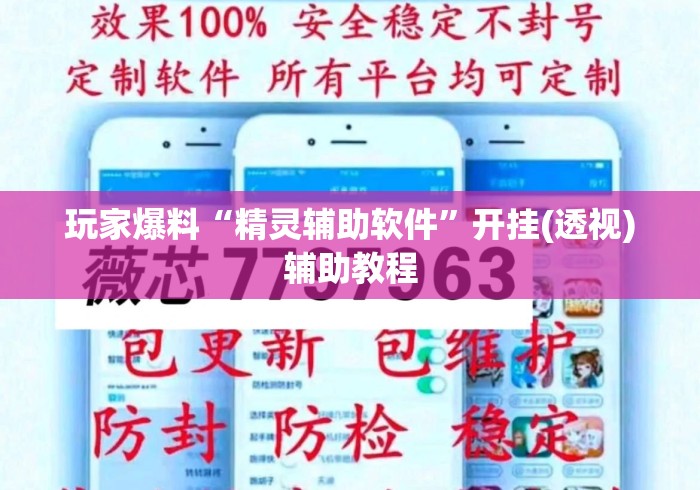 玩家爆料“精灵辅助软件	”开挂(透视)辅助教程