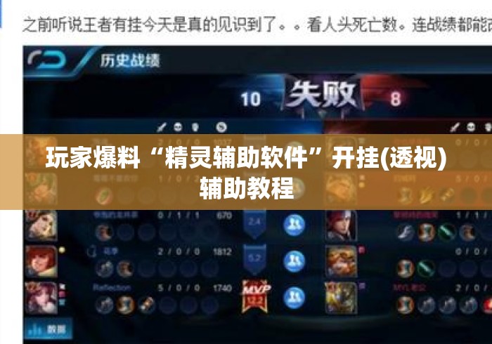 玩家爆料“精灵辅助软件”开挂(透视)辅助教程