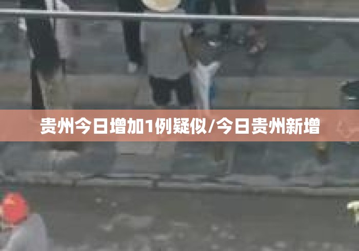 贵州今日增加1例疑似/今日贵州新增 贵州今日增加1例疑似/今日贵州新增