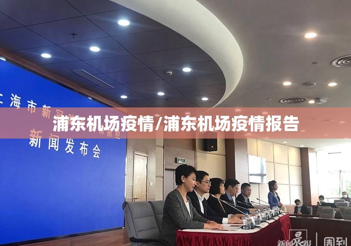 浦东机场疫情/浦东机场疫情报告