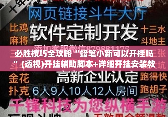 必胜技巧全攻略“蜡笔小新可以开挂吗”(透视)开挂辅助脚本+详细开挂安装教程