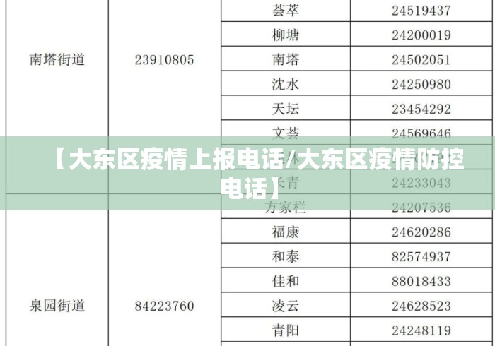 【大东区疫情上报电话/大东区疫情防控电话】