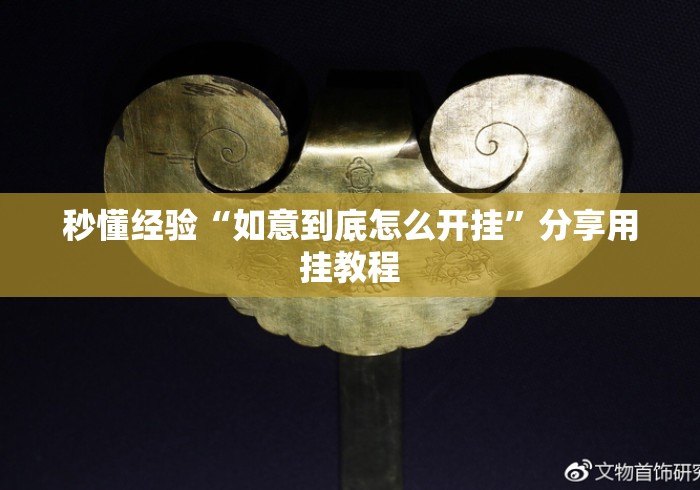 秒懂经验“如意到底怎么开挂	”分享用挂教程