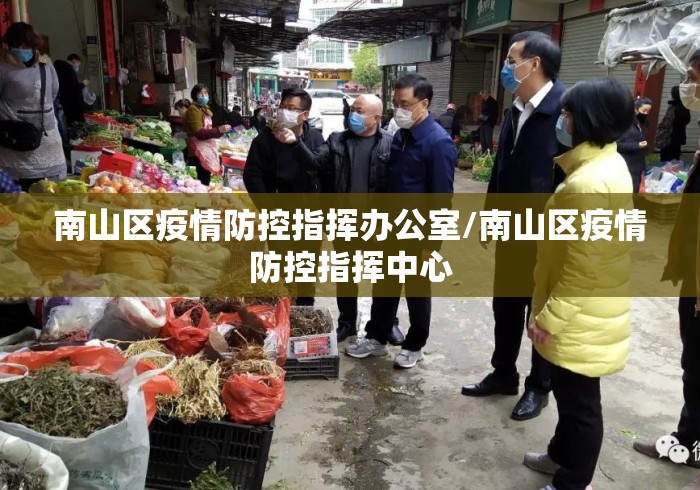 南山区疫情防控指挥办公室/南山区疫情防控指挥中心 南山区疫情防控指挥办公室/南山区疫情防控指挥中心