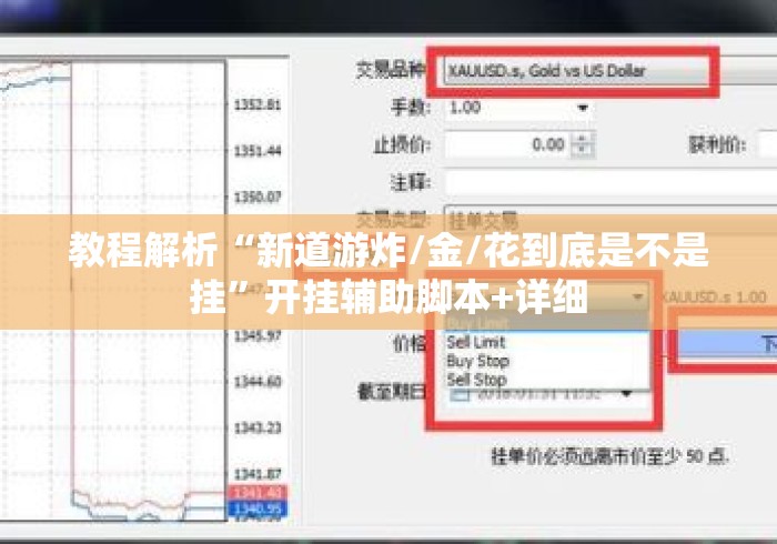 教程解析“新道游炸/金/花到底是不是挂”开挂辅助脚本+详细