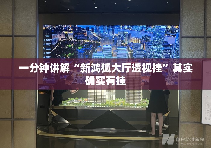一分钟讲解“新鸿狐大厅透视挂”其实确实有挂