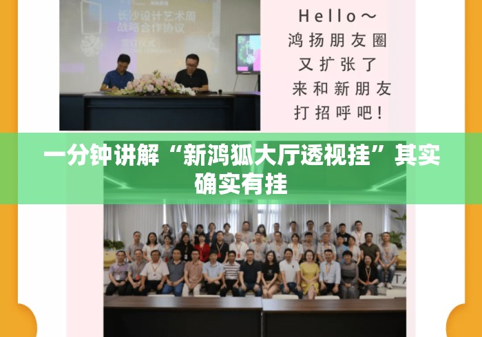 一分钟讲解“新鸿狐大厅透视挂”其实确实有挂