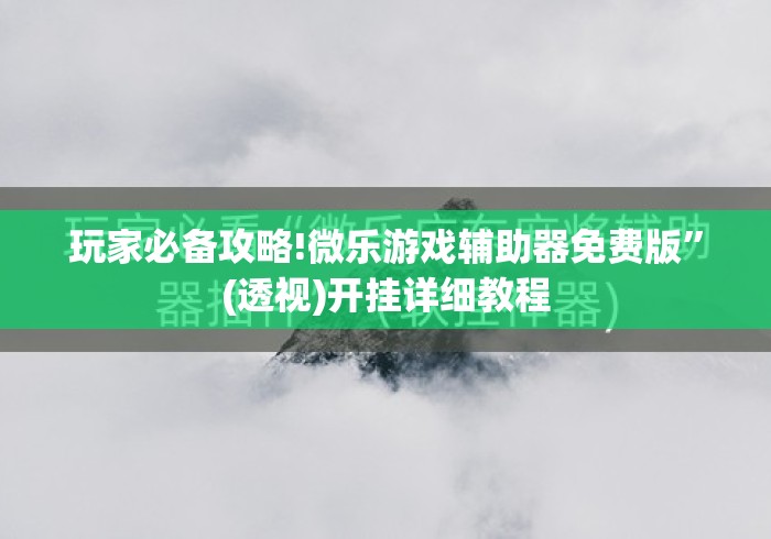玩家必备攻略!微乐游戏辅助器免费版	”(透视)开挂详细教程