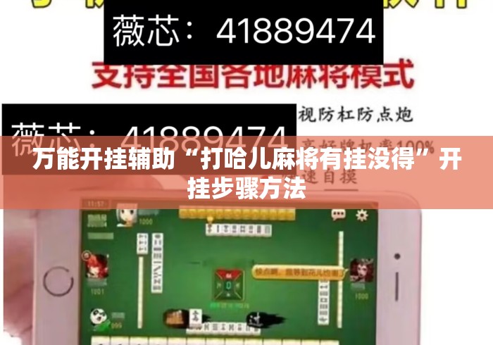 万能开挂辅助“打哈儿麻将有挂没得”开挂步骤方法