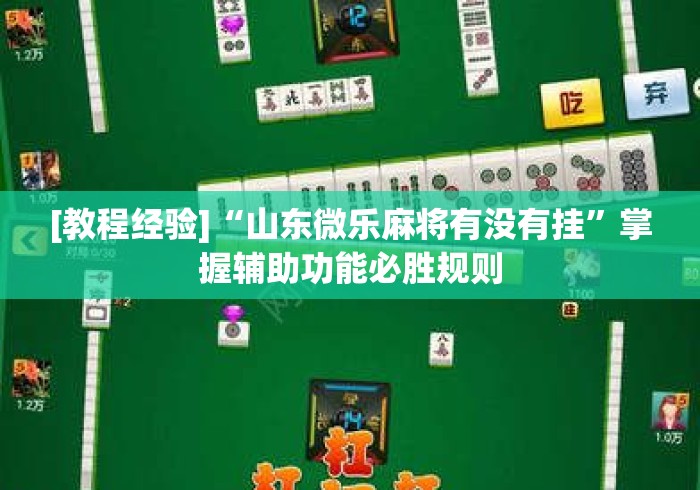 [教程经验]“山东微乐麻将有没有挂	”掌握辅助功能必胜规则
