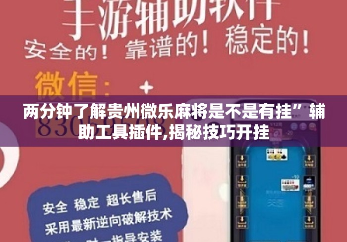 两分钟了解贵州微乐麻将是不是有挂”辅助工具插件,揭秘技巧开挂