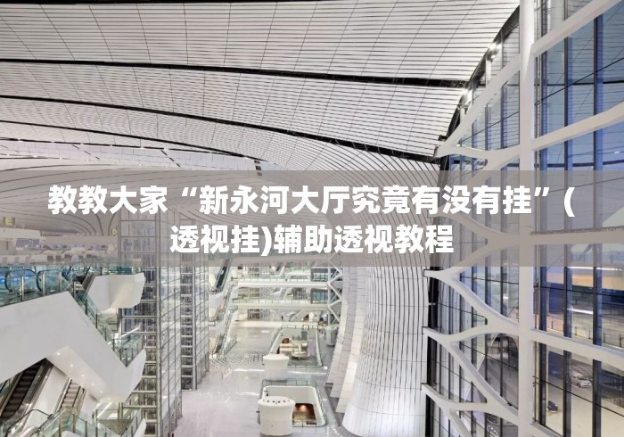教教大家“新永河大厅究竟有没有挂”(透视挂)辅助透视教程