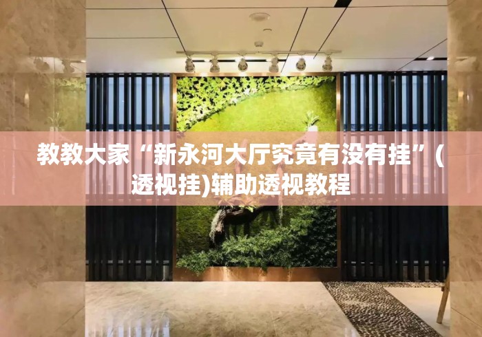 教教大家“新永河大厅究竟有没有挂”(透视挂)辅助透视教程