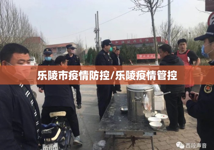 乐陵市疫情防控/乐陵疫情管控