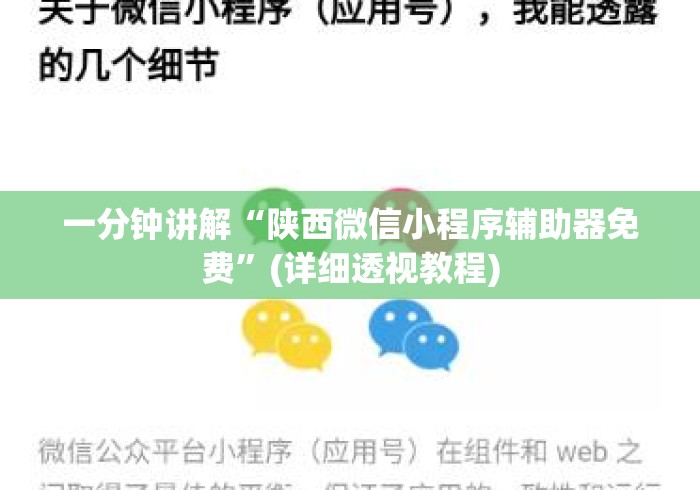 一分钟讲解“陕西微信小程序辅助器免费”(详细透视教程)