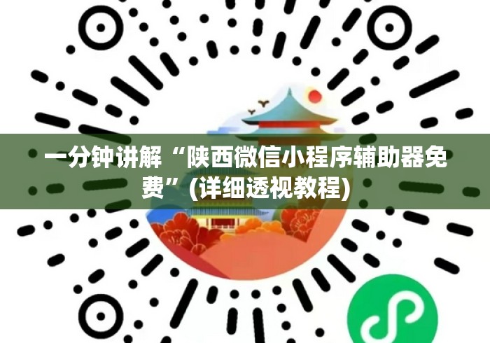 一分钟讲解“陕西微信小程序辅助器免费”(详细透视教程)