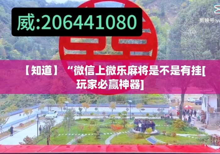 秒懂经验“陕西微乐麻将挂”(确实真的有挂)