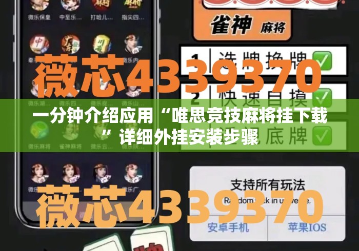 一分钟介绍应用“唯思竞技麻将挂下载”详细外挂安装步骤
