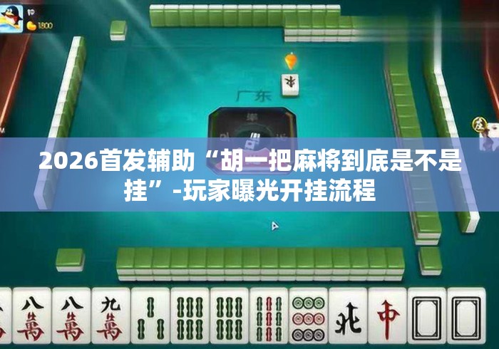 2026首发辅助“胡一把麻将到底是不是挂”-玩家曝光开挂流程