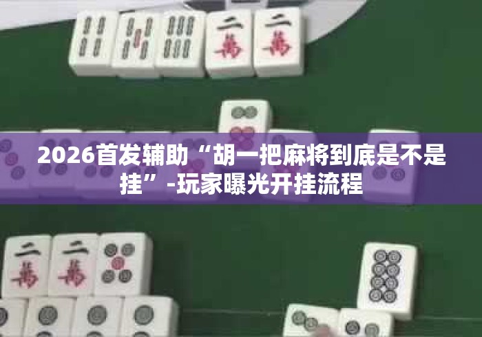 2026首发辅助“胡一把麻将到底是不是挂”-玩家曝光开挂流程