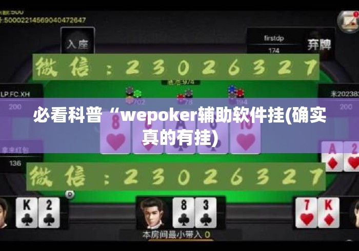 必看科普“wepoker辅助软件挂(确实真的有挂) 必看科普“wepoker辅助软件挂(确实真的有挂)