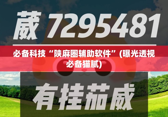 必备科技“陕麻圈辅助软件	”(曝光透视必备猫腻)